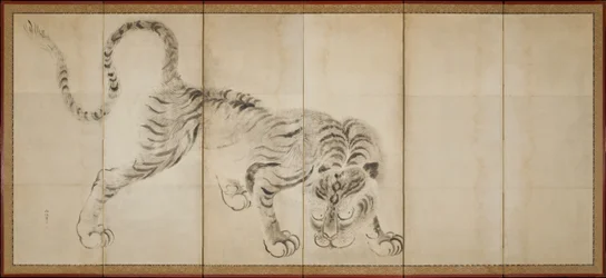 Tijger